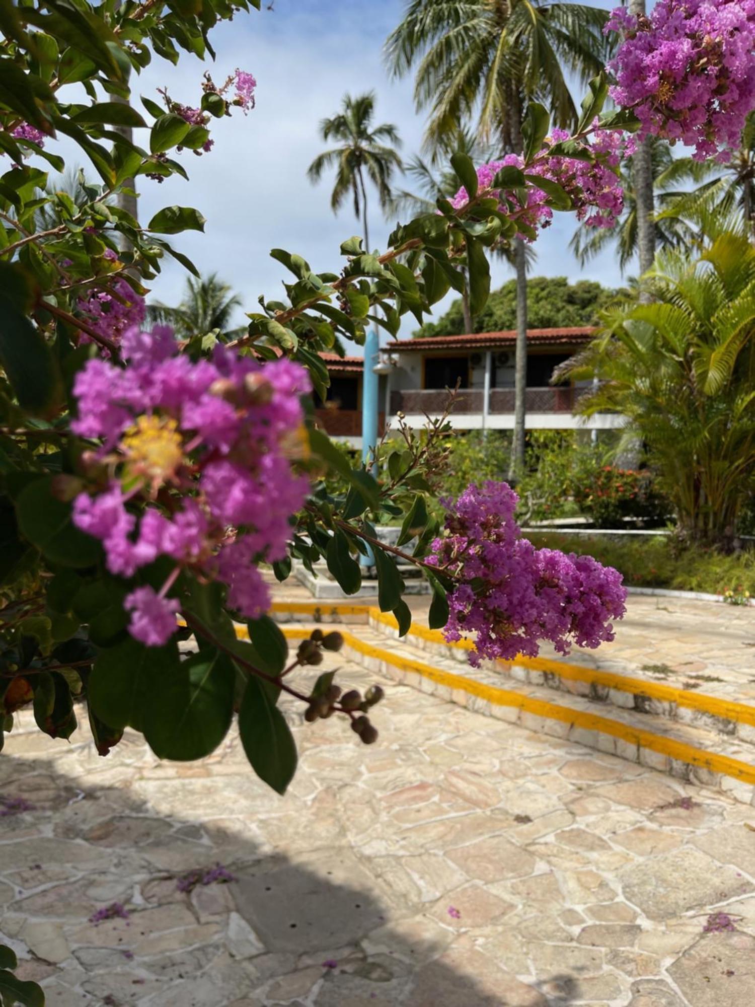 Bitingui Hotel 3*